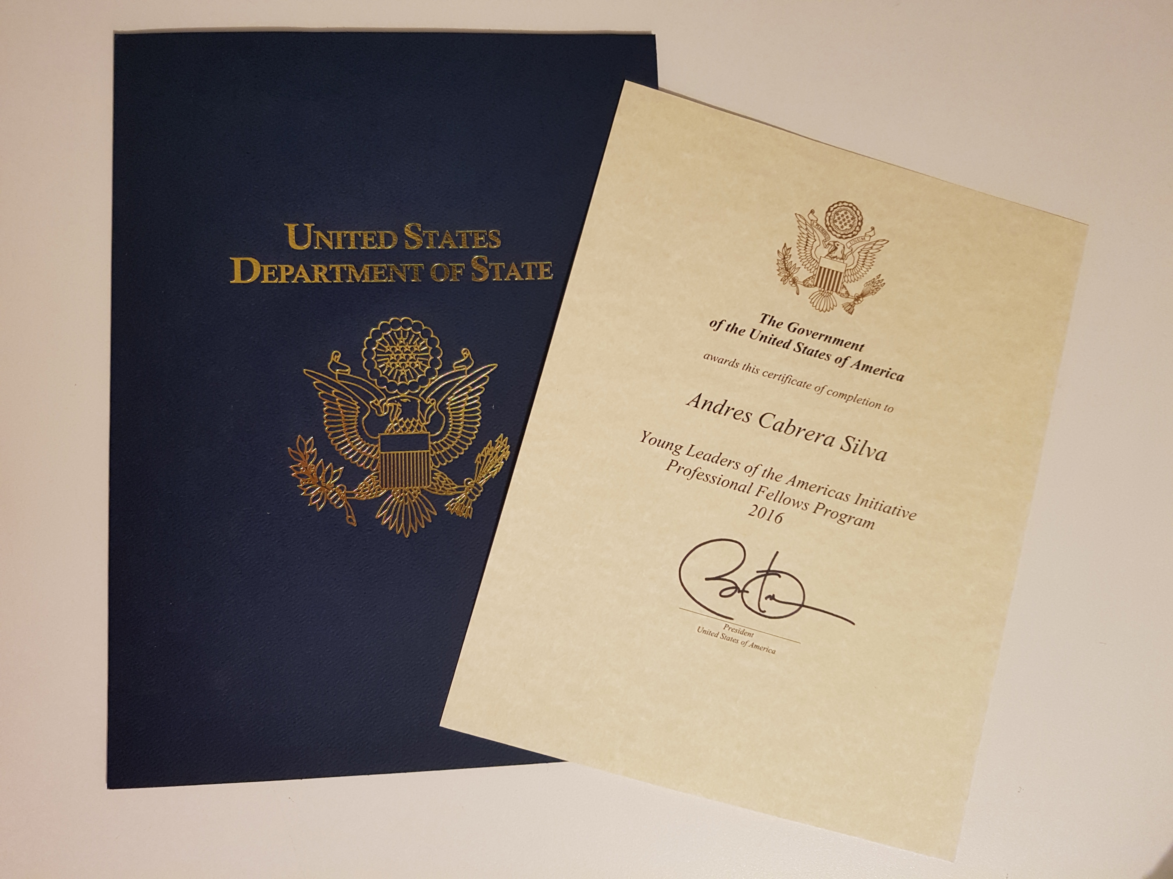 Young Leaders of the Americas Initiative